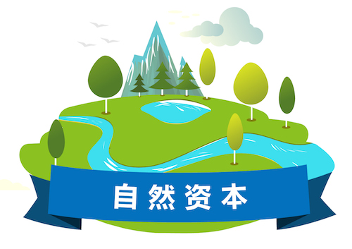 Natural Capital Icon CN Web